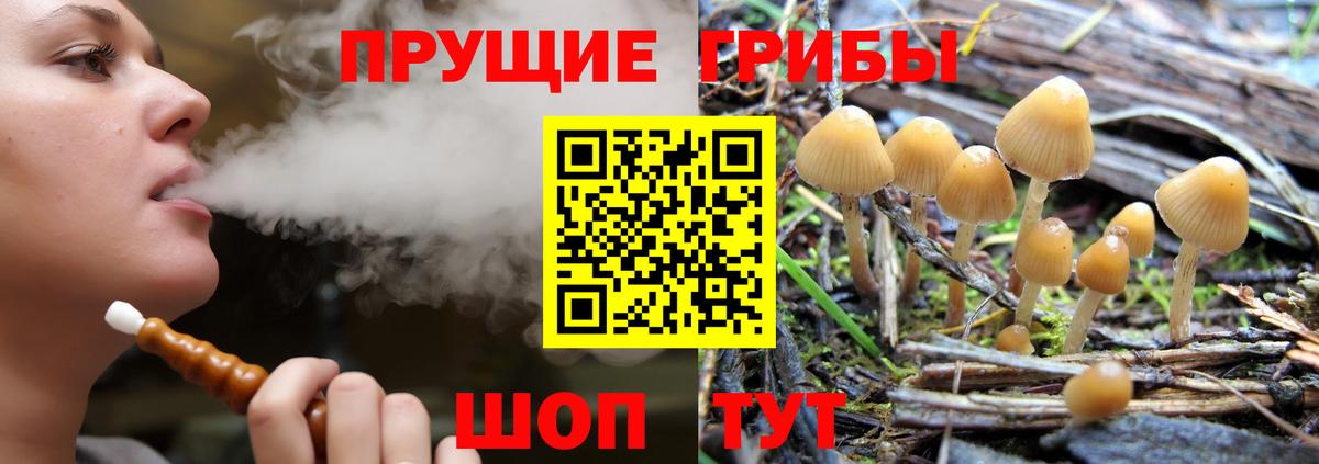 Галлюциногенные грибы Cubensis  Вход с VPN  Галлюциногенные грибы ЛСД  Соль-Илецк 